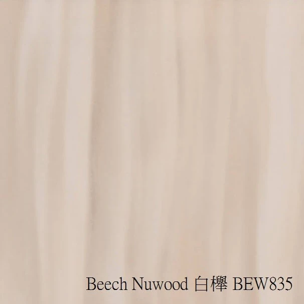 Beech-Nuwood-白櫸