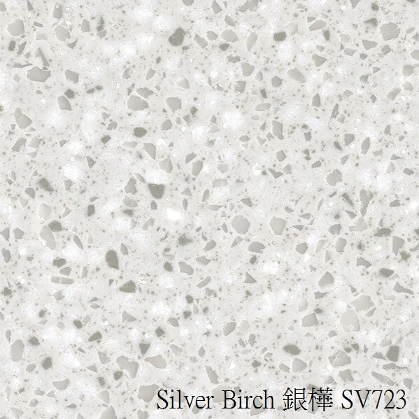 Silver-Birch-銀樺