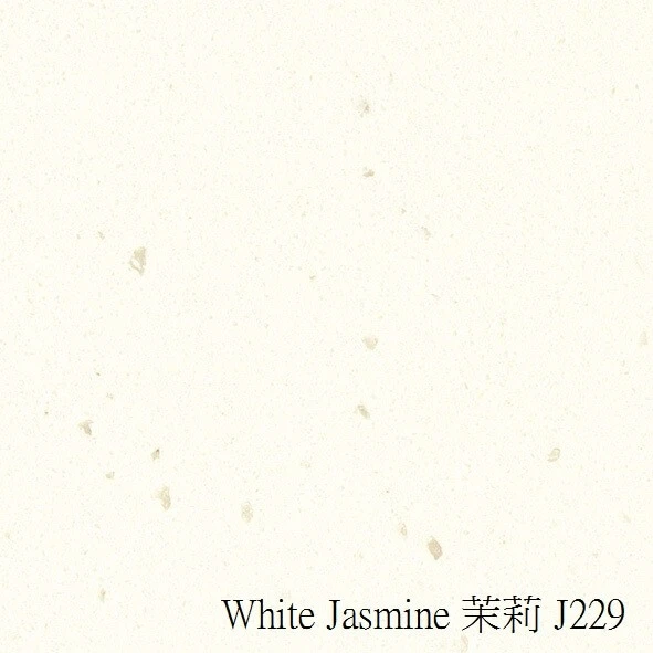 White-Jasmine-茉莉