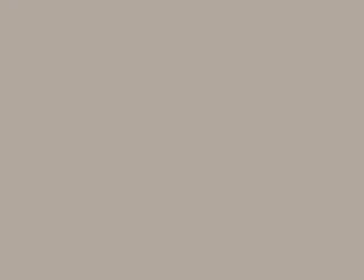 亞利桑那米BEIGE_ARIZONA