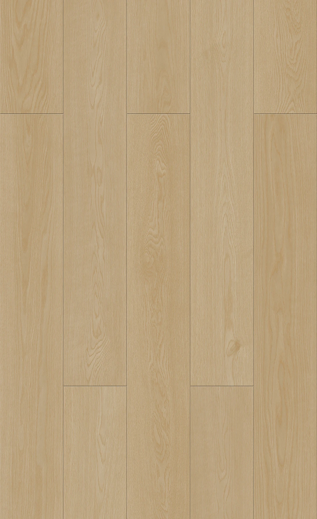 PKD 7507 達克瓦茲