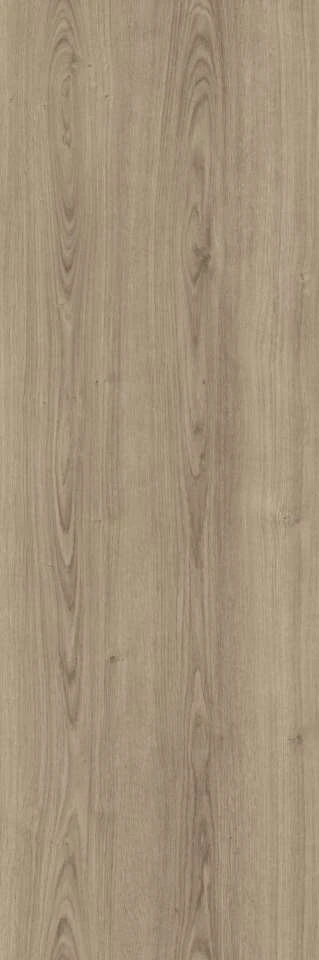 PKL 807 奇美拉橡木