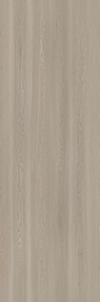 PKL 806 月珥橡木