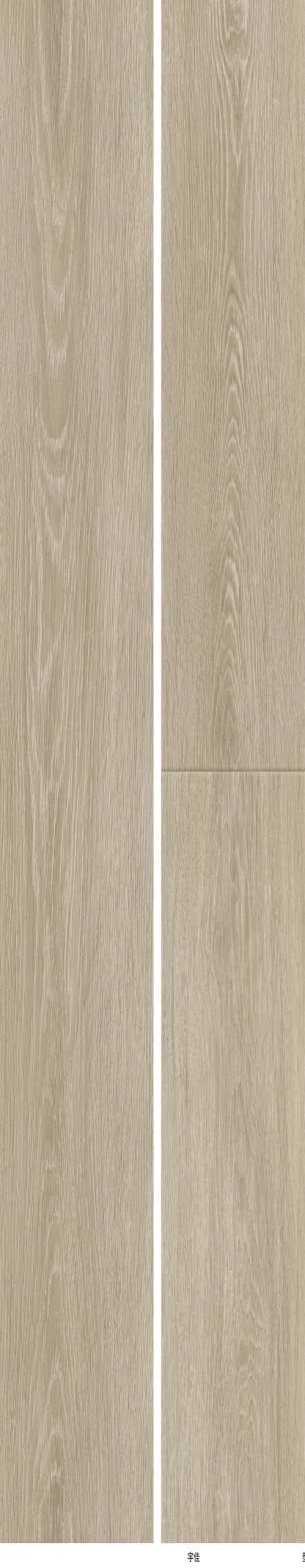 PKL 806 芥子橡木