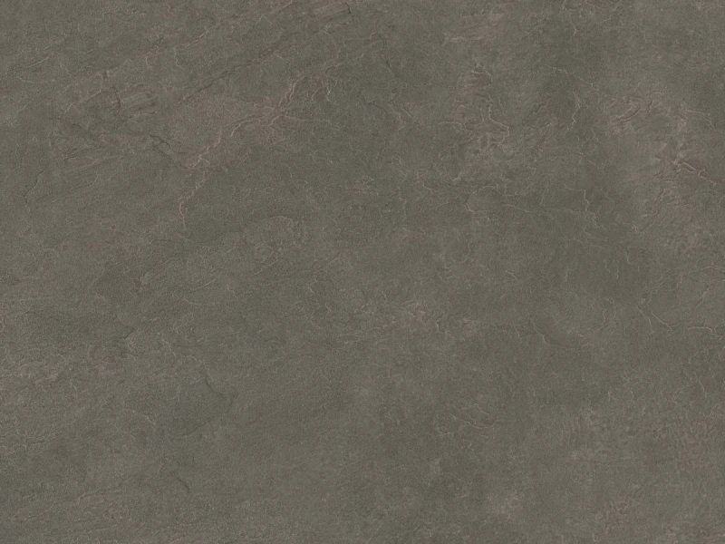N51564