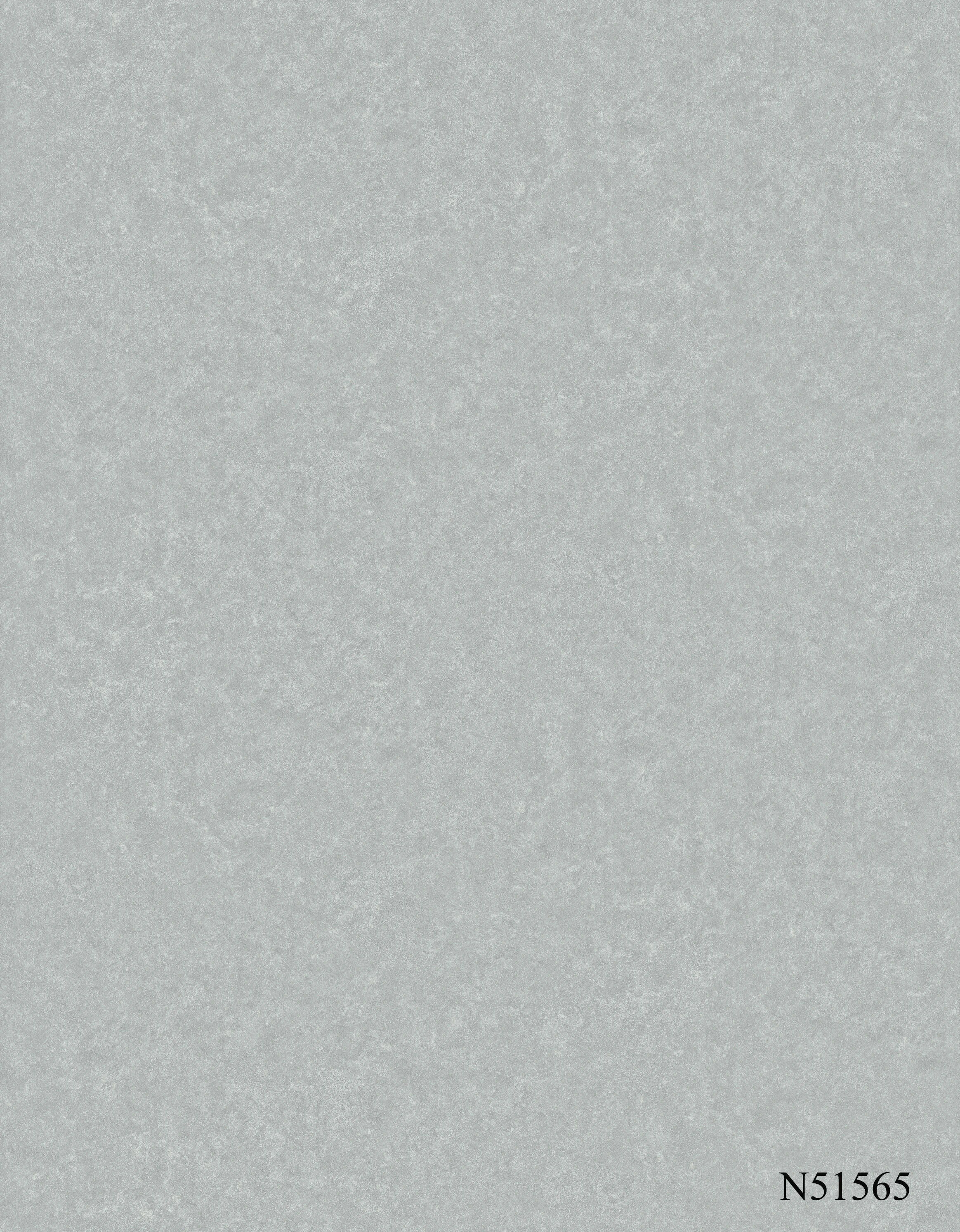 N51565