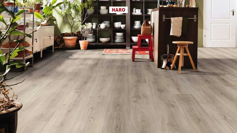 HARO 超耐磨地板 TRITTY 100