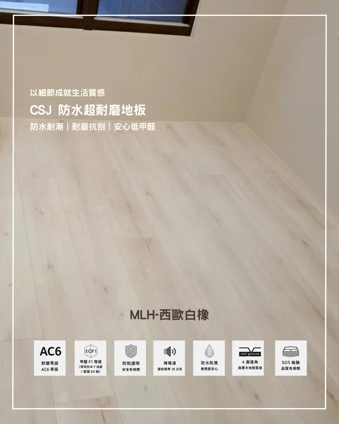 MLH-西歐白橡