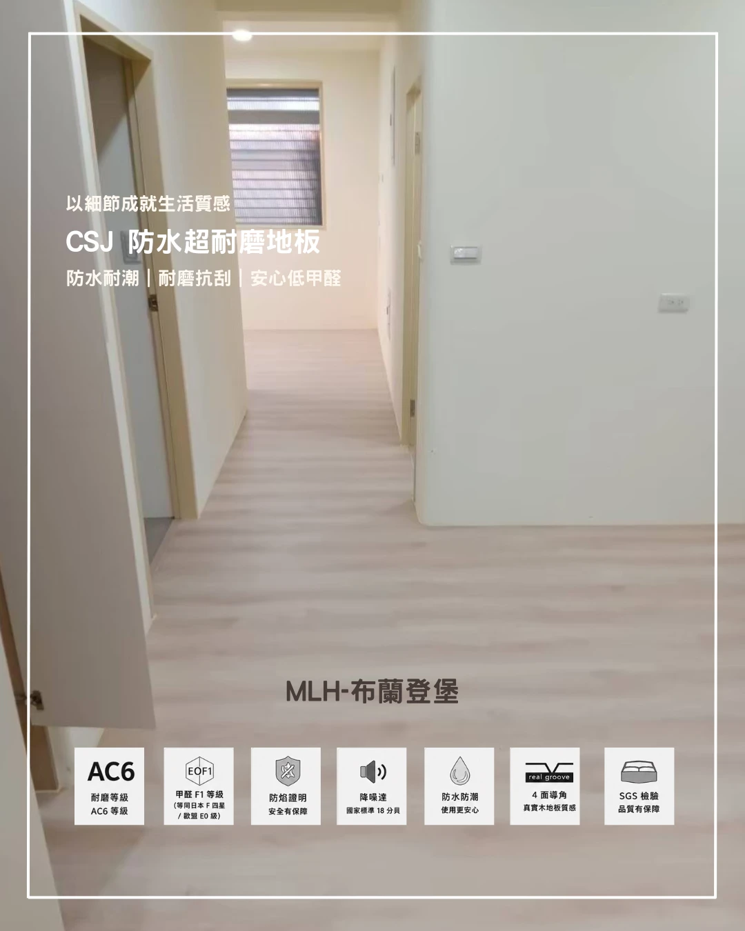 MLH-布蘭登堡