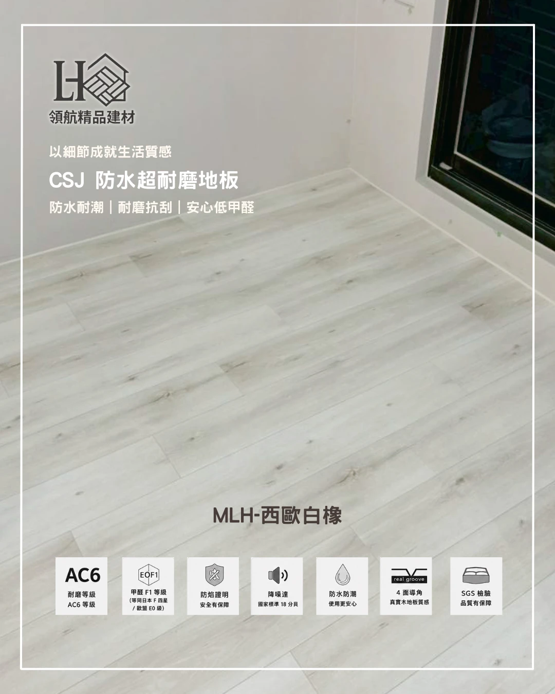 MLH-西歐白橡