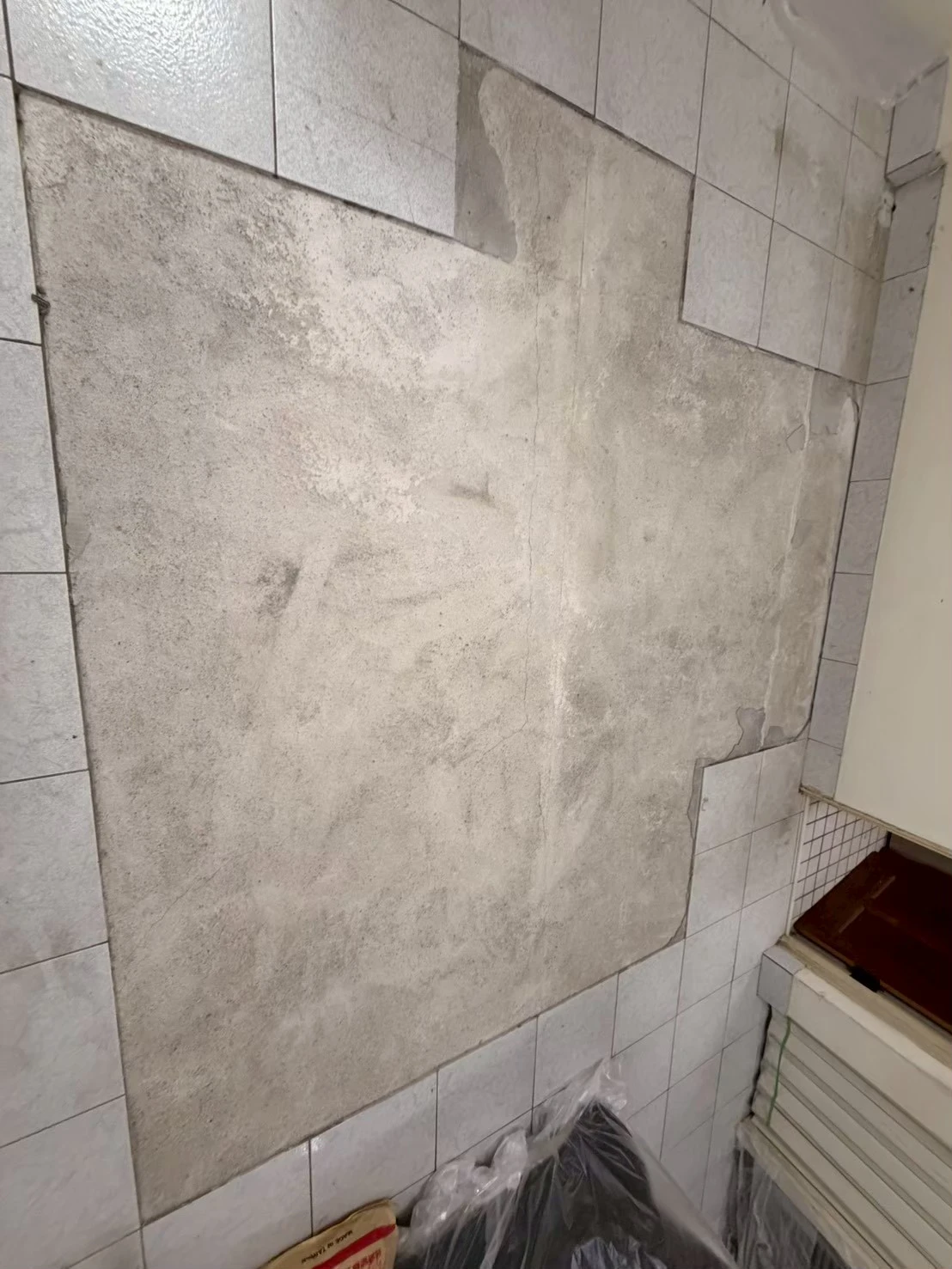 嘉義市世賢路一段638巷38號 0811 白橡木