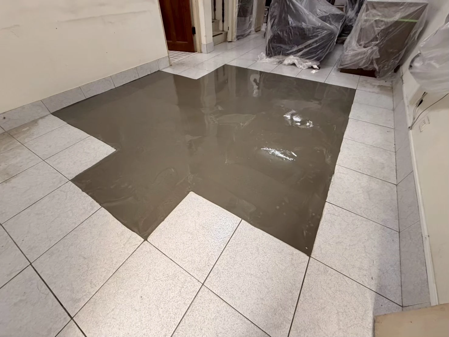 嘉義市世賢路一段638巷38號 0811 白橡木