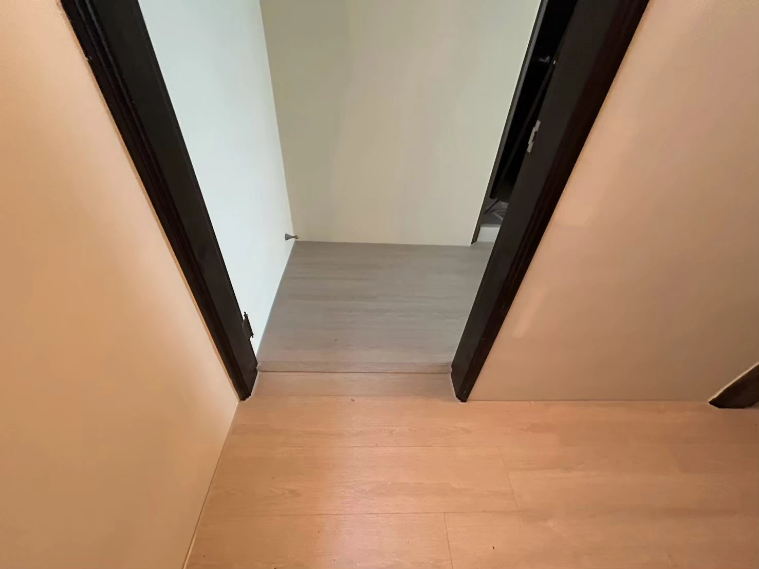 嘉義市大華街239號