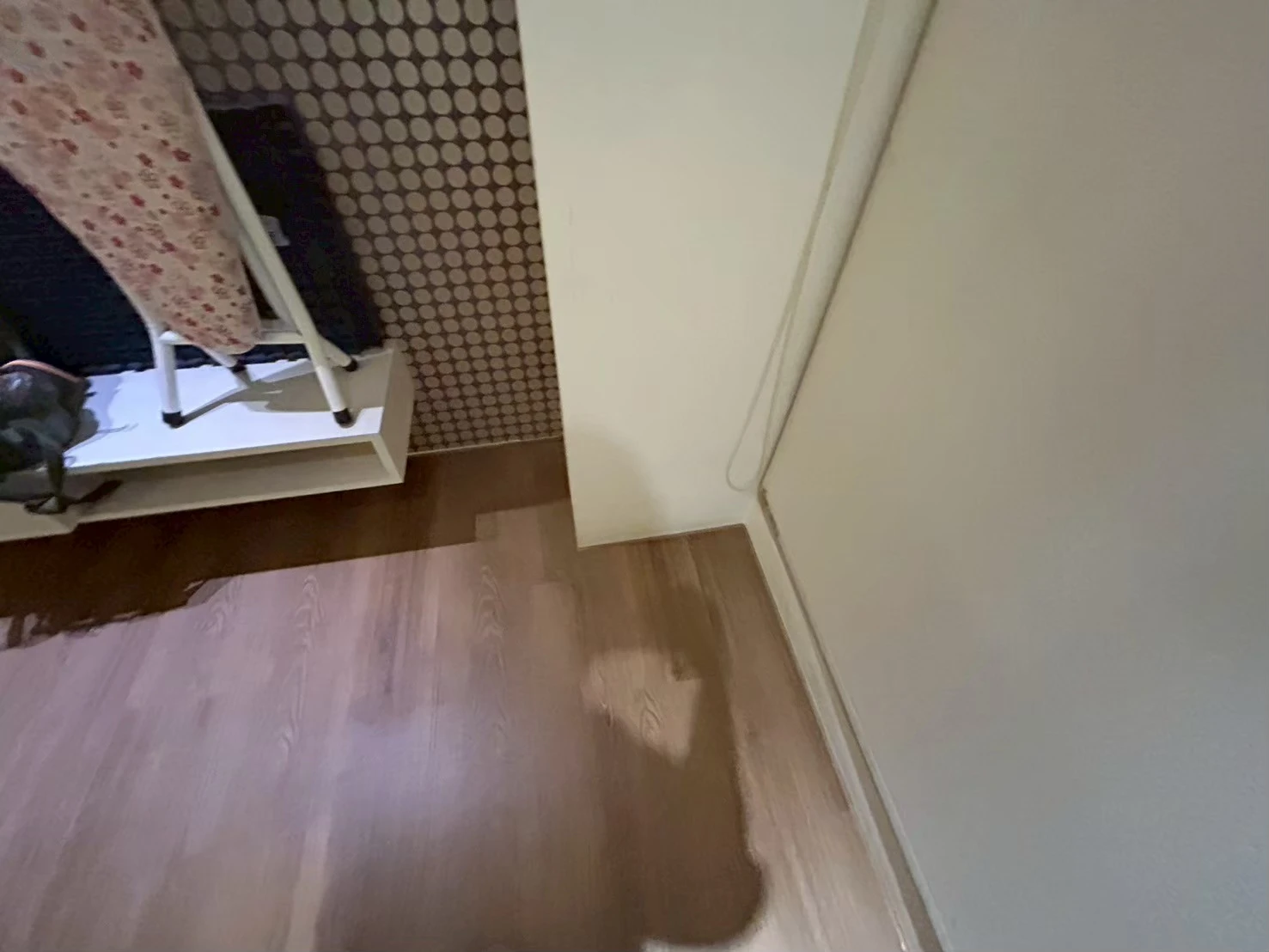 樊茂盛 金龍街195號