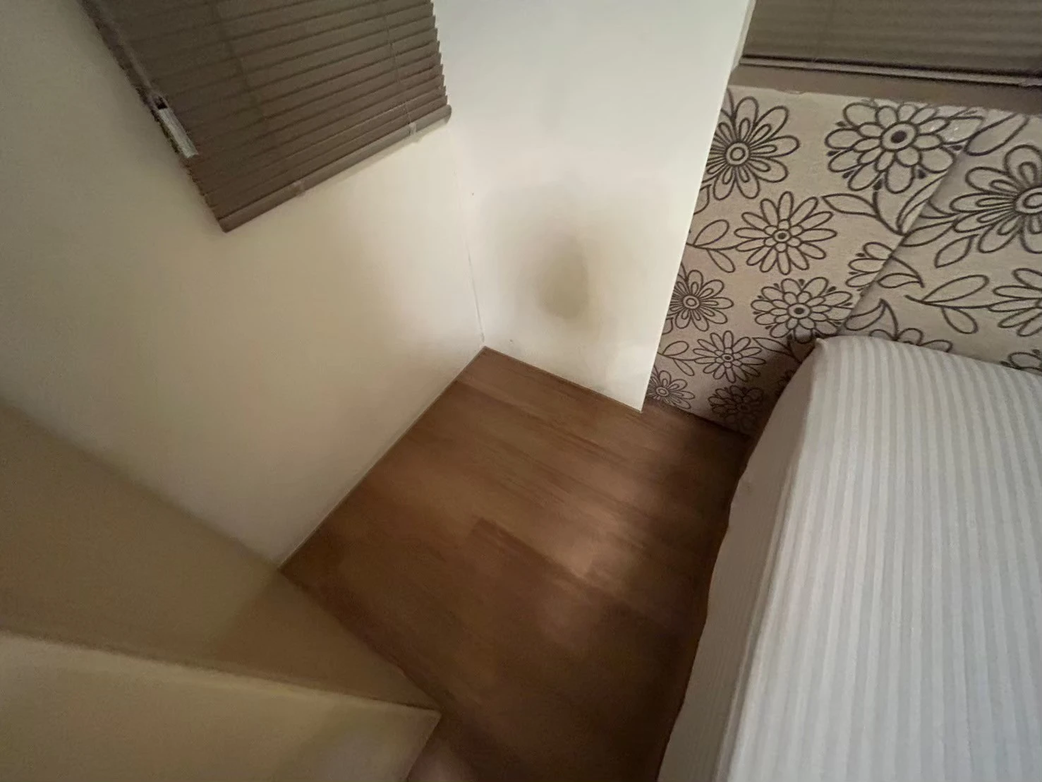 樊茂盛 金龍街195號