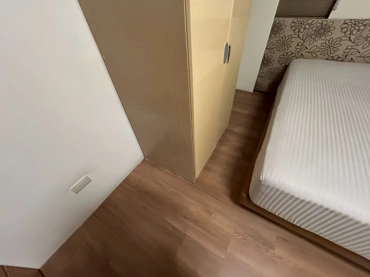 樊茂盛 金龍街195號