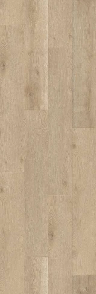 PKL 805 月珥橡木