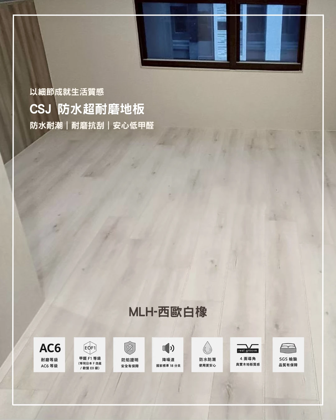 MLH-西歐白橡
