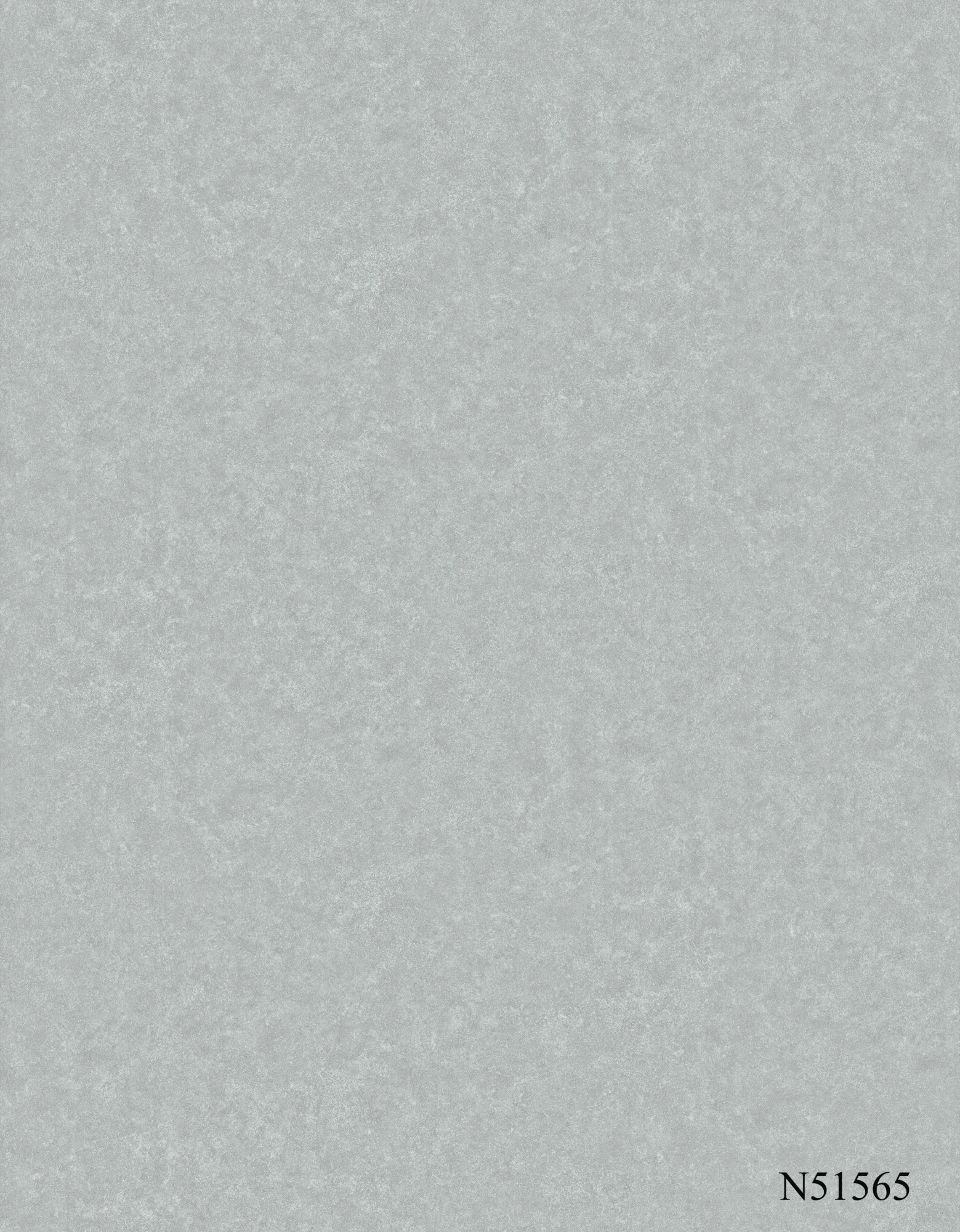 N51565