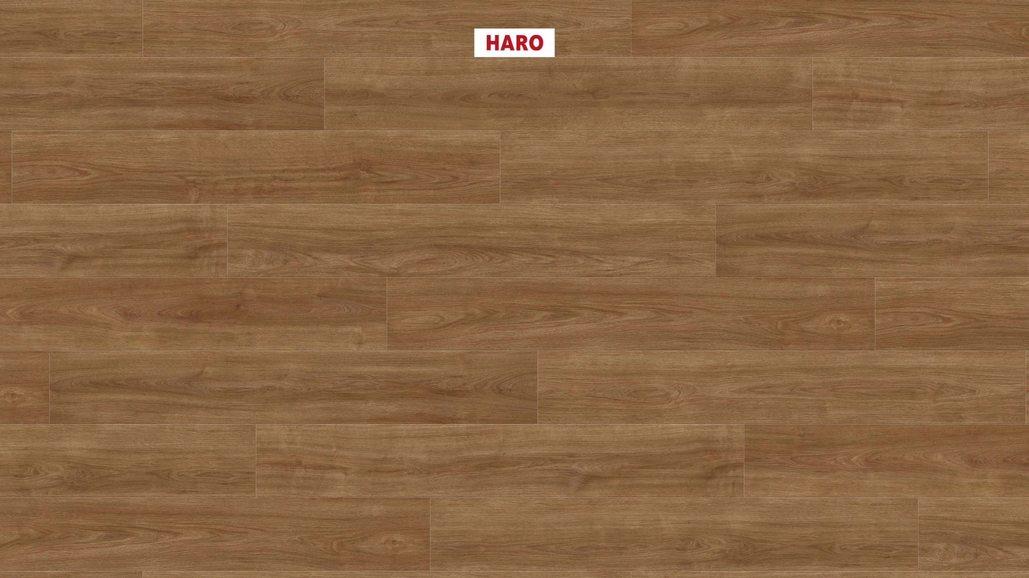 HARO 超耐磨地板 TRITTY 100