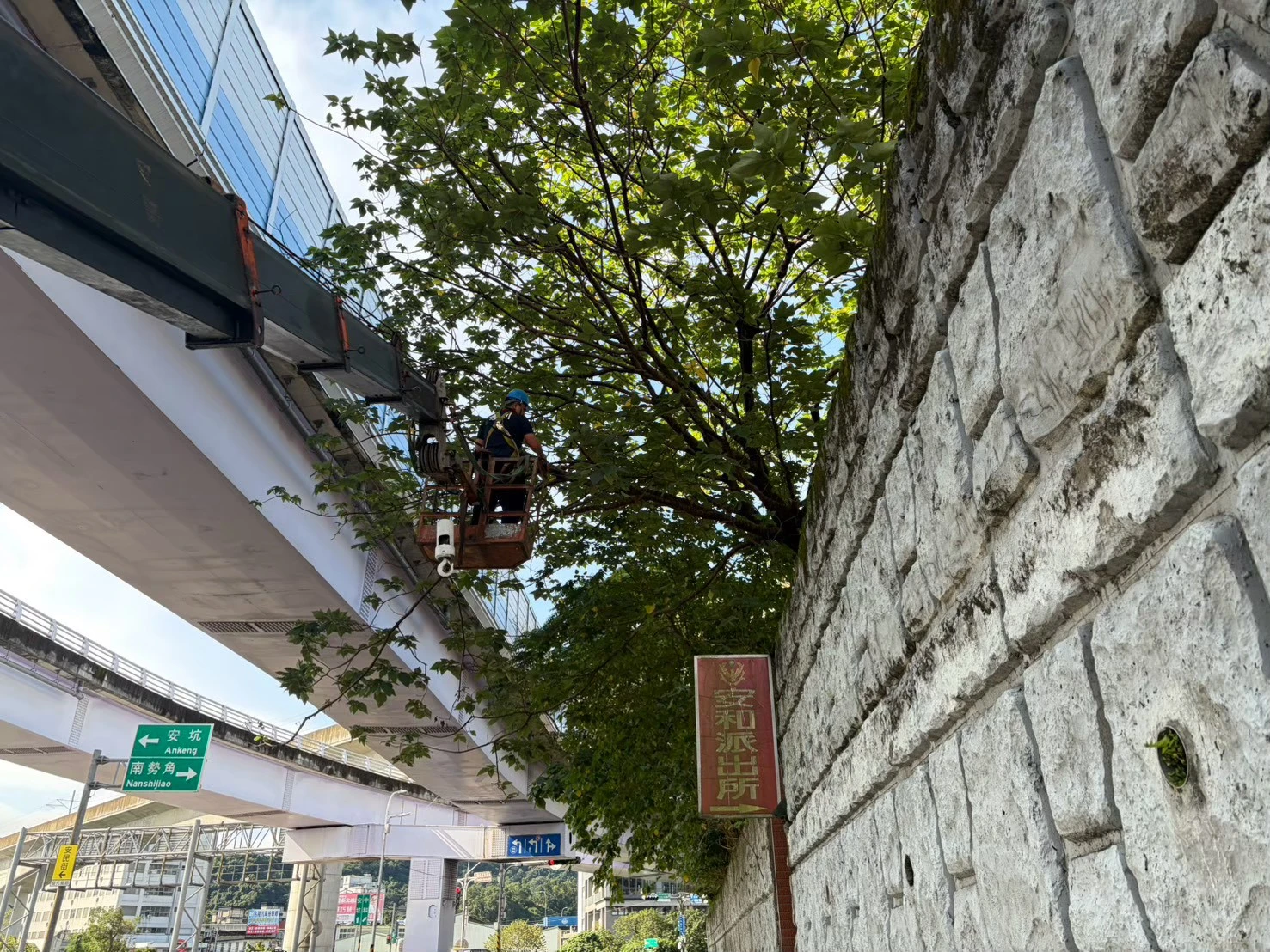 園藝整理