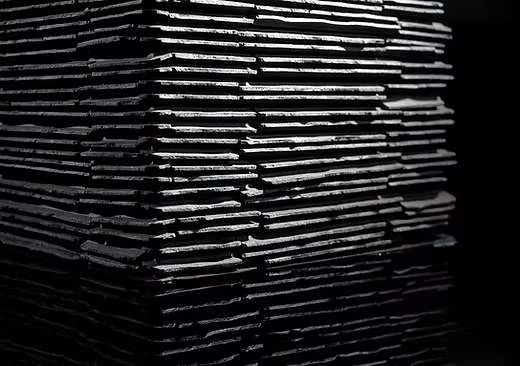 AX-陶樹林 TOUJURIN