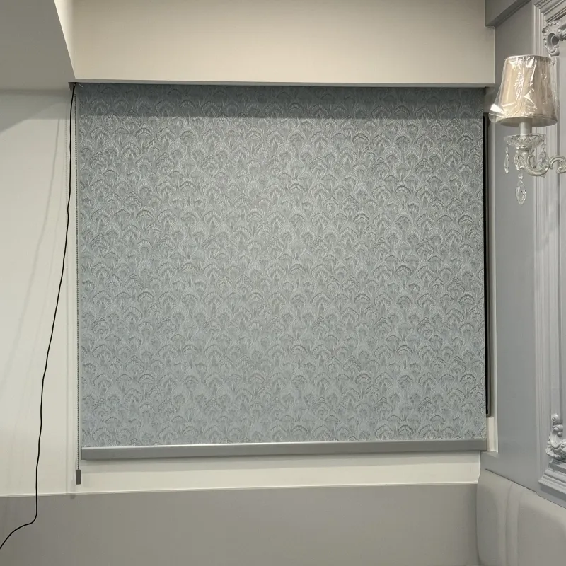 Homekit MATTER 充電式電動捲簾