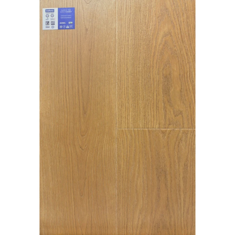 極品500623