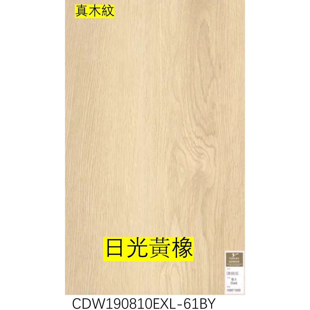 真木紋｜日光黃橡