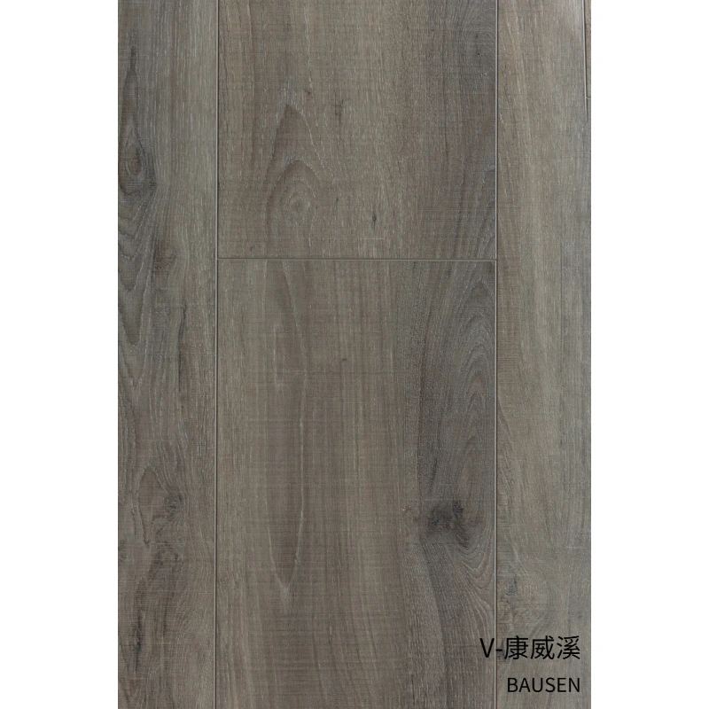 寶陞VSPC系列｜V-康威溪