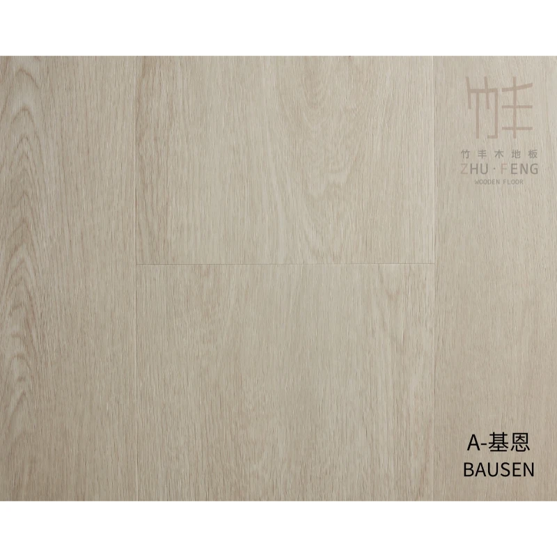 寶陞ASPC系列｜A-基恩