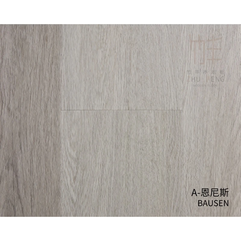 寶陞ASPC系列｜A-恩尼斯