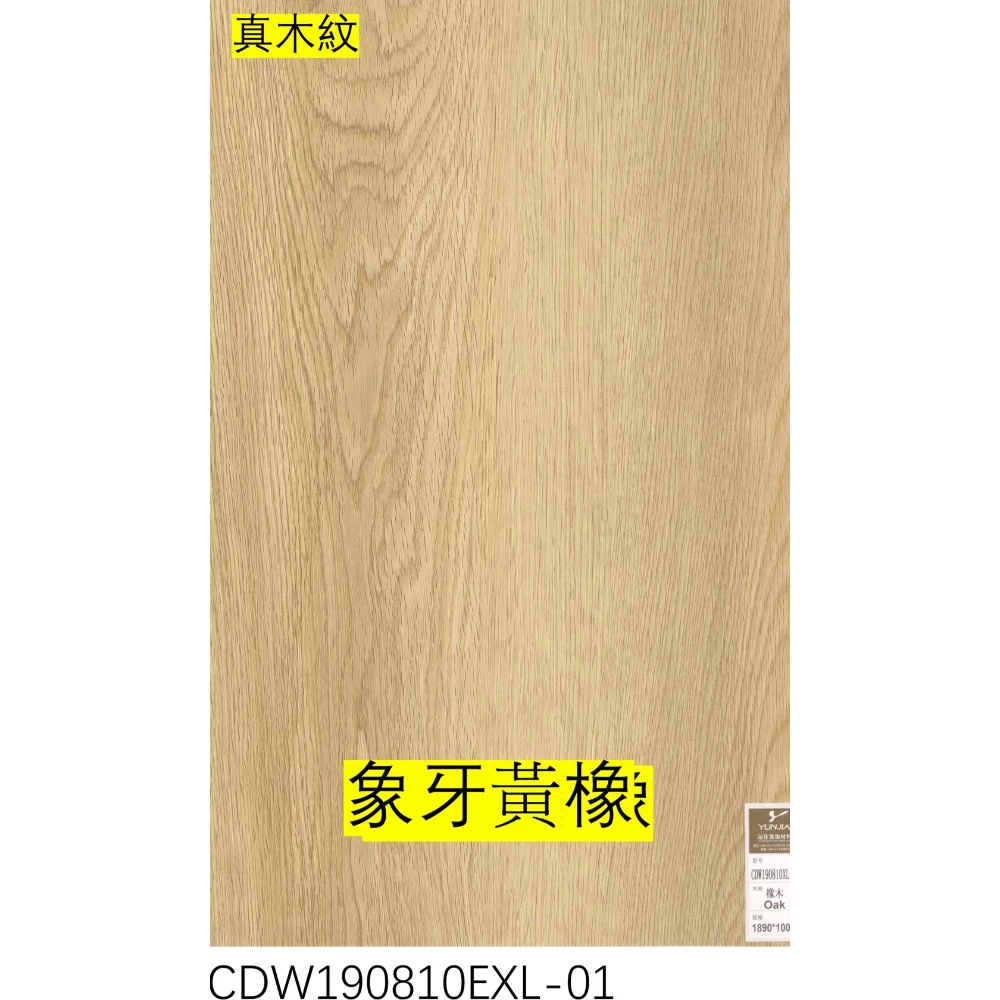 真木紋｜象牙黃橡