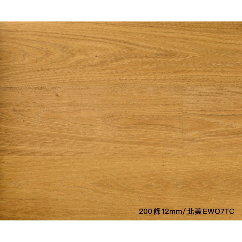200條實木/厚12mm/北美森林EWO7TC