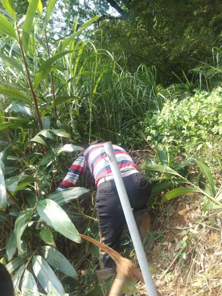 基隆除草粗工