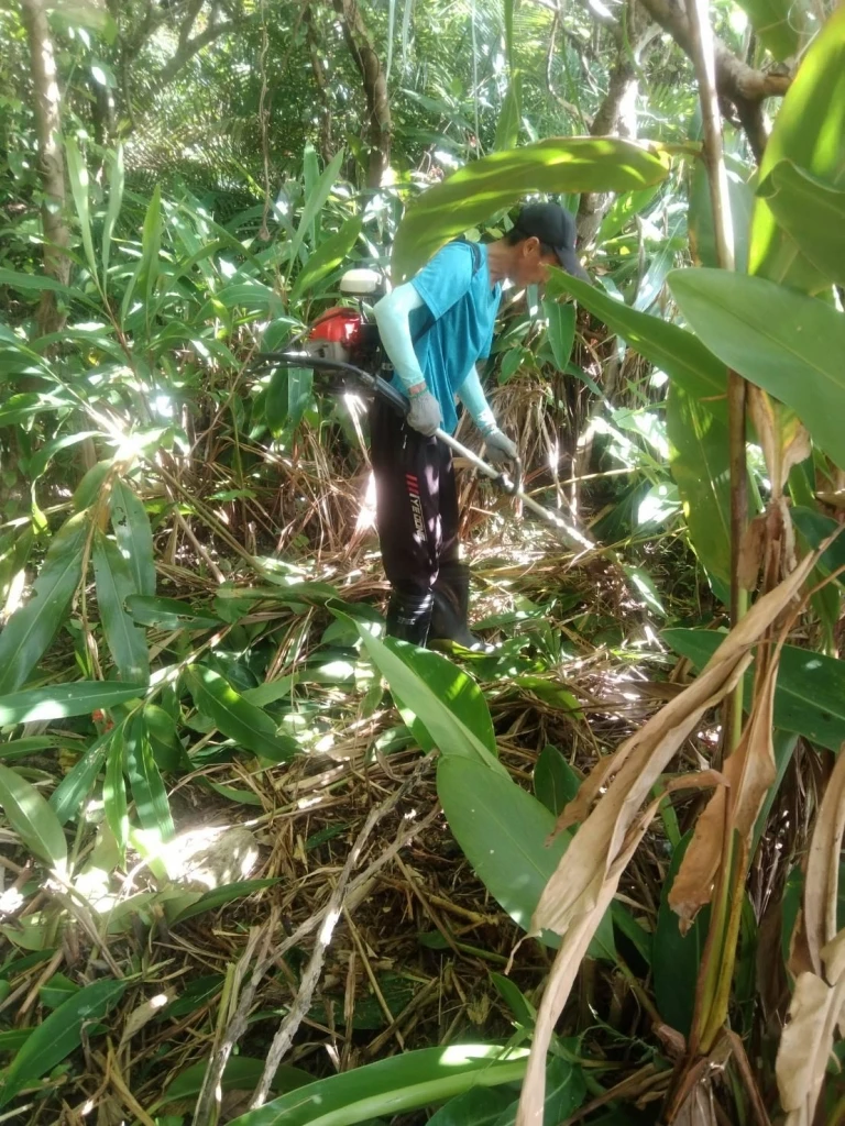 基隆除草粗工