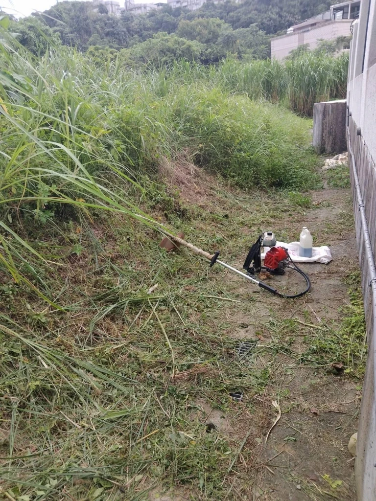 基隆除草粗工