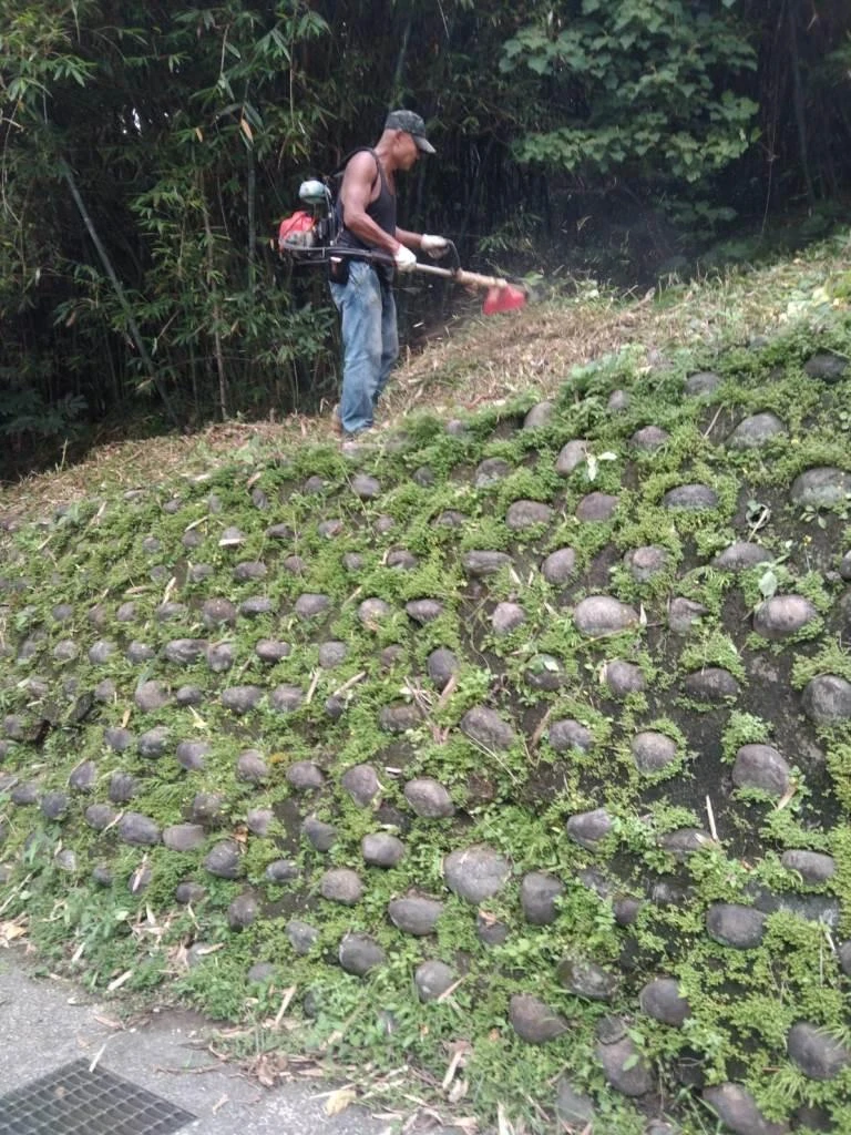 基隆除草粗工