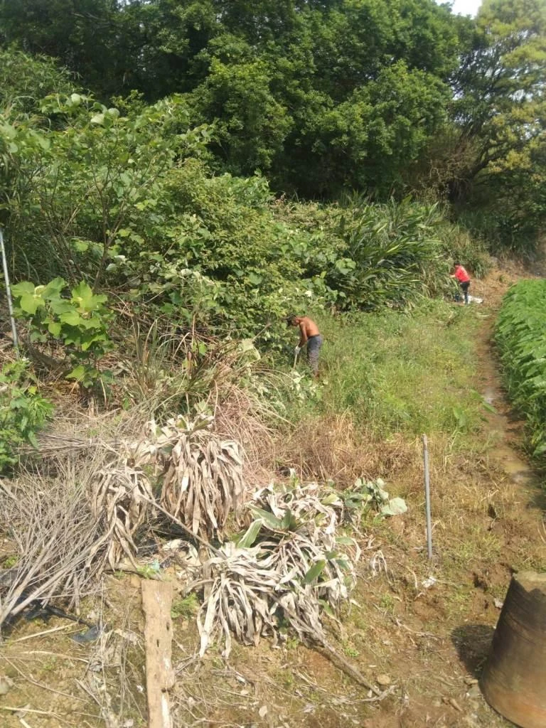 基隆除草粗工