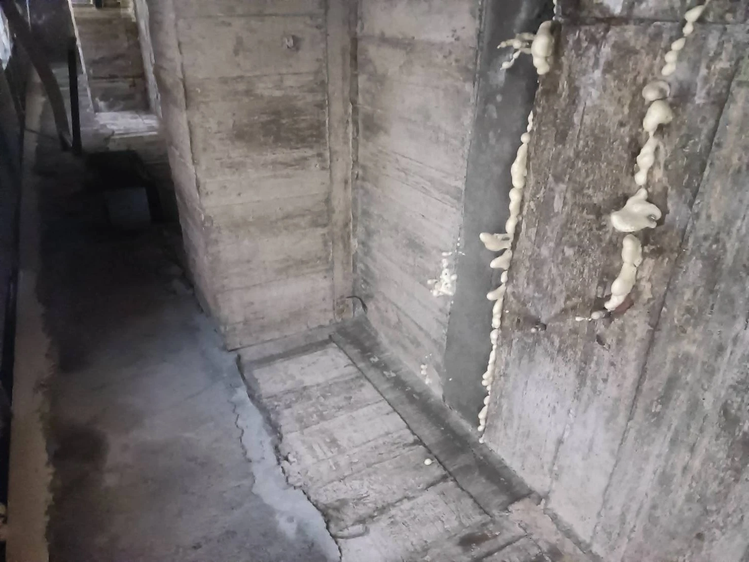 高雄抓漏工程 | 高雄防水工程
