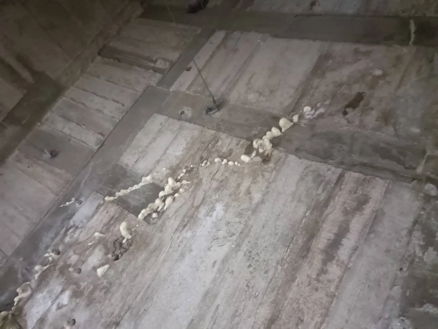 高雄抓漏工程 | 高雄防水工程