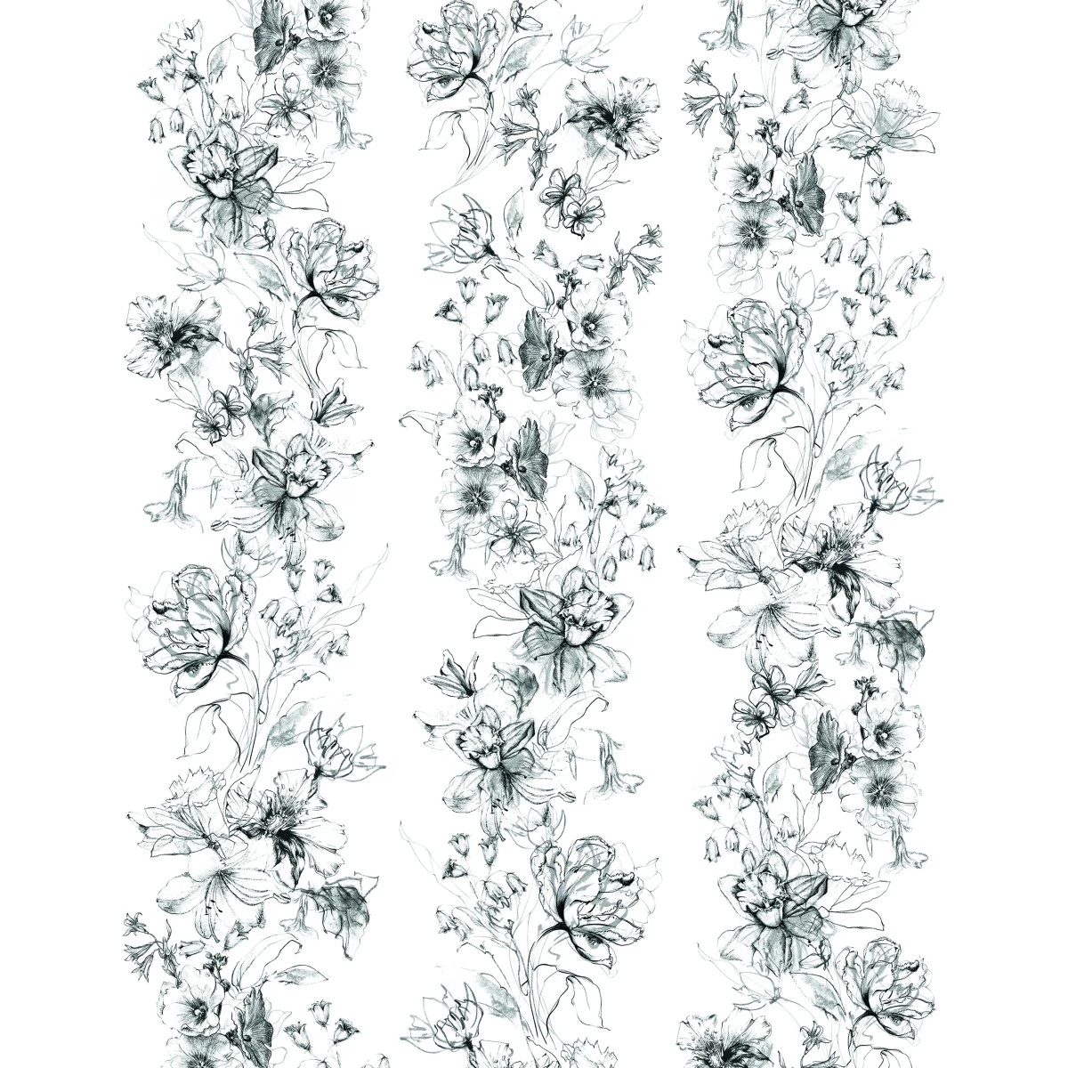 Crush Motion