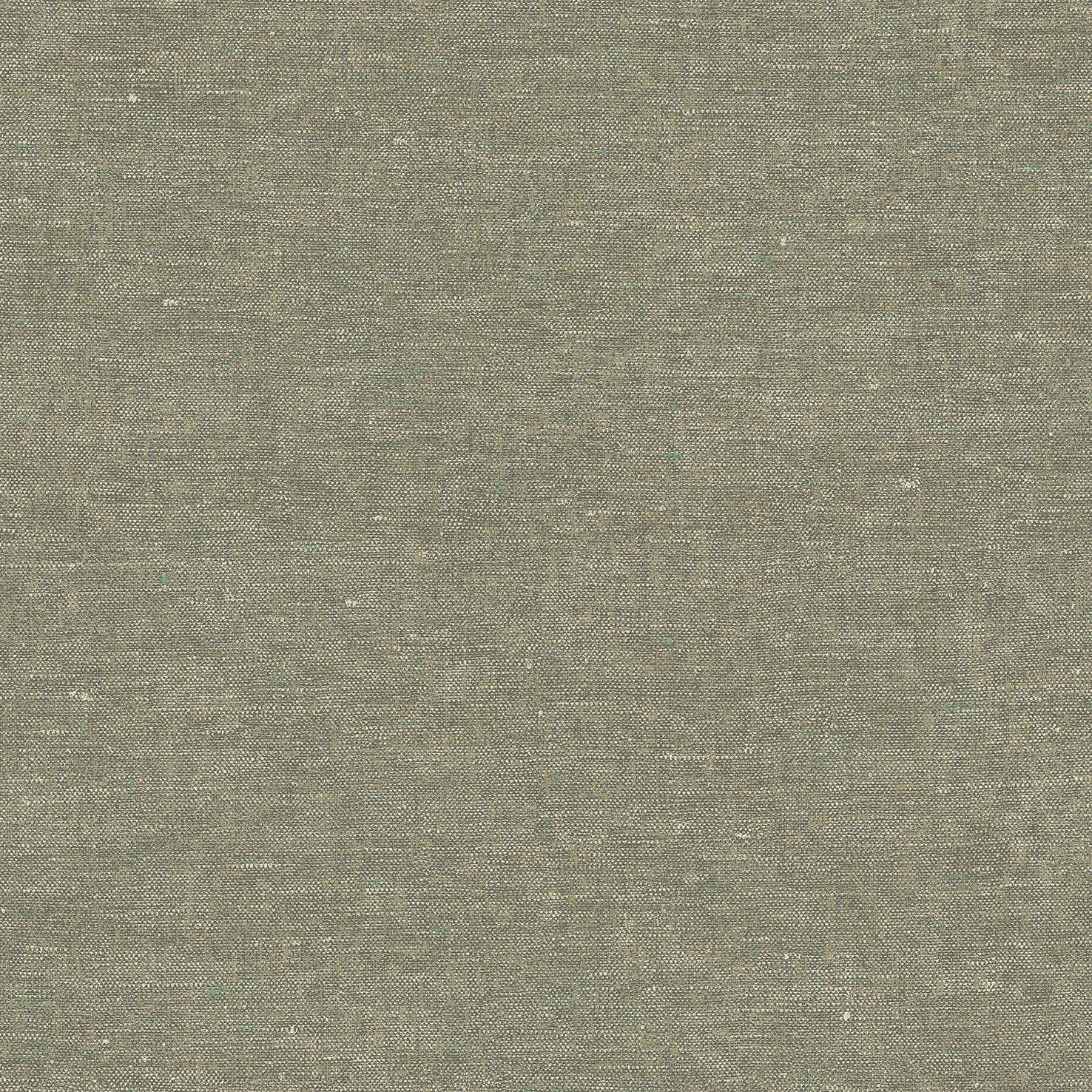 Terra Nova
