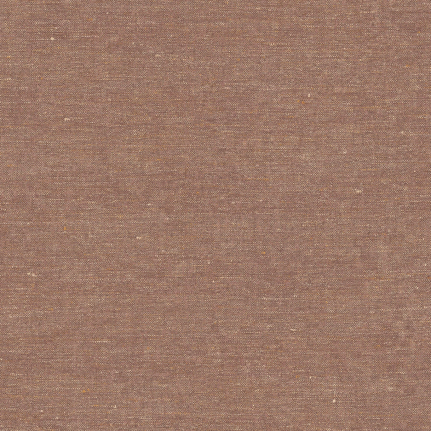 Terra Nova