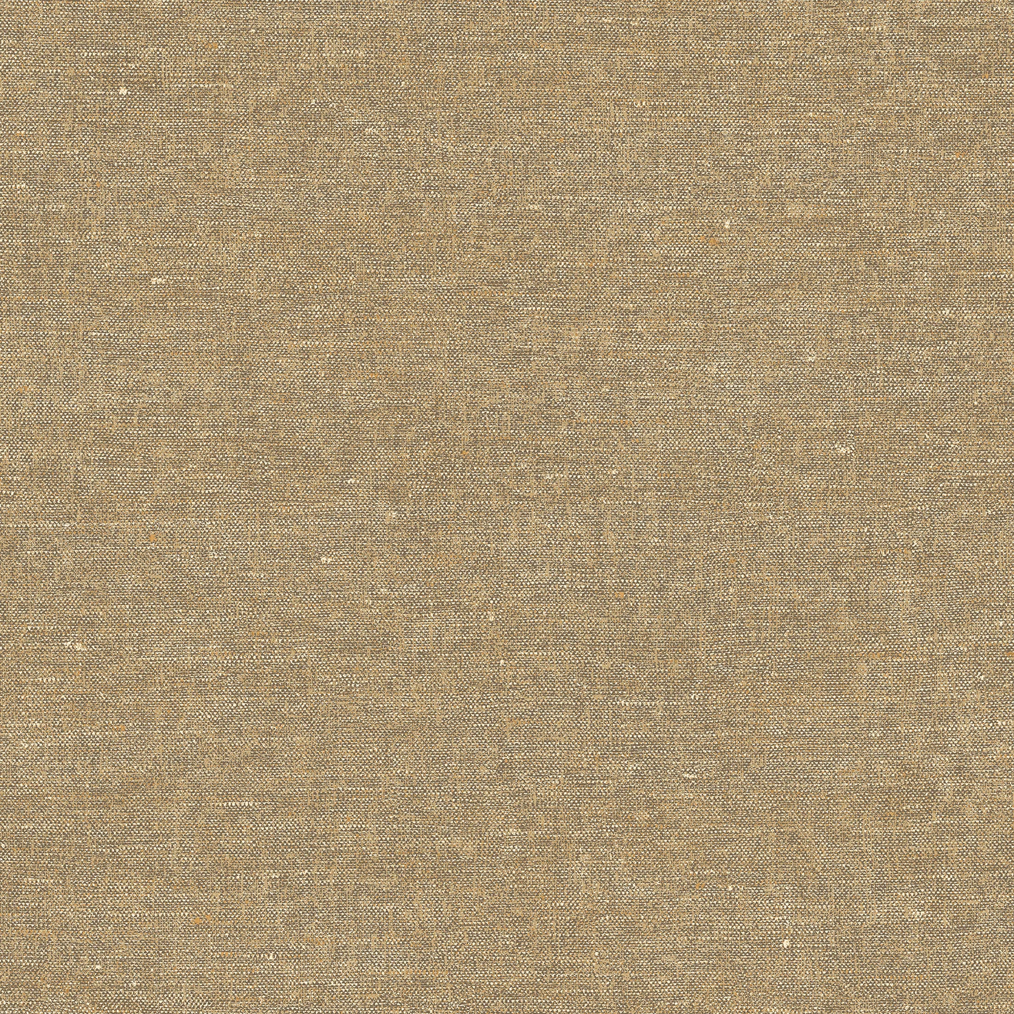 Terra Nova