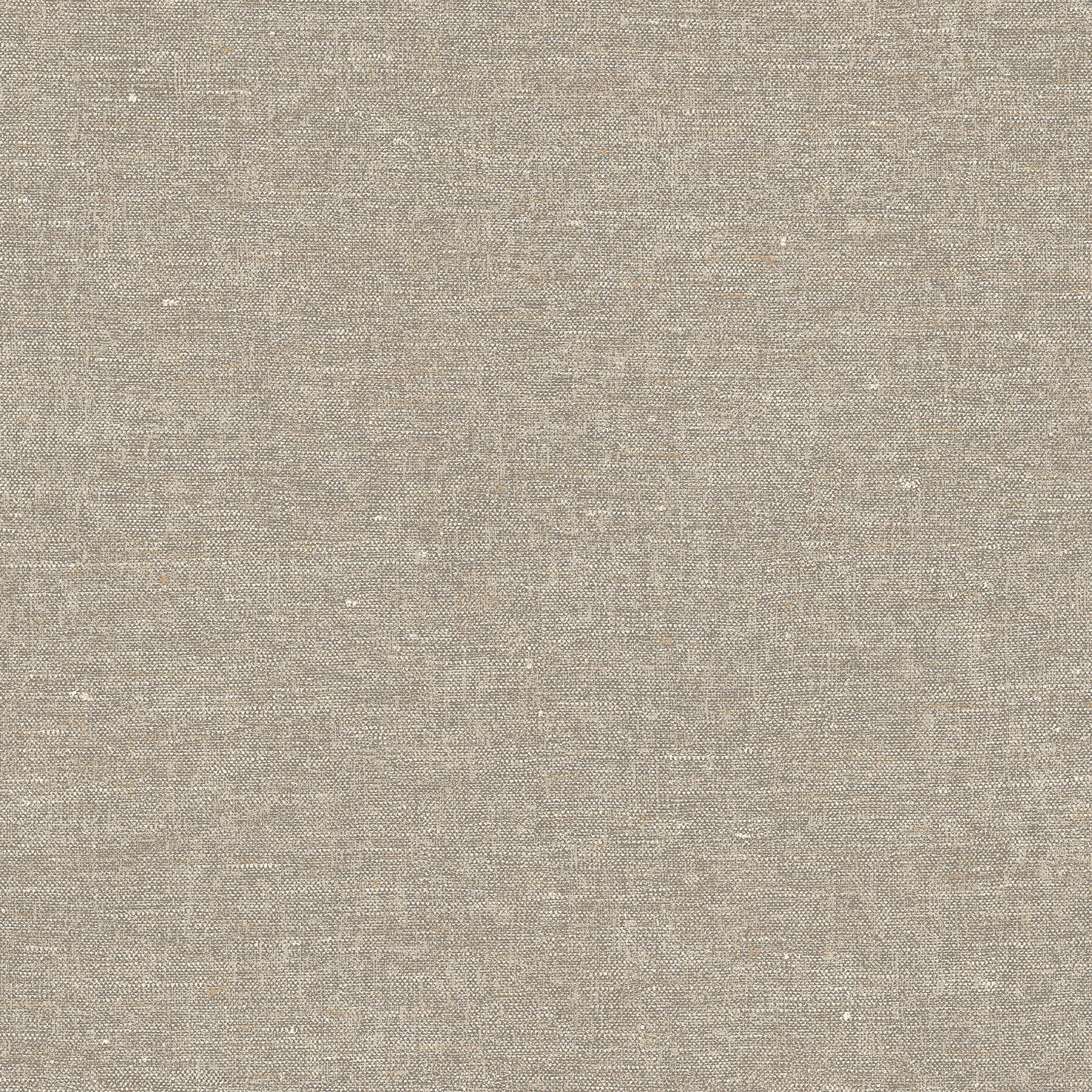 Terra Nova