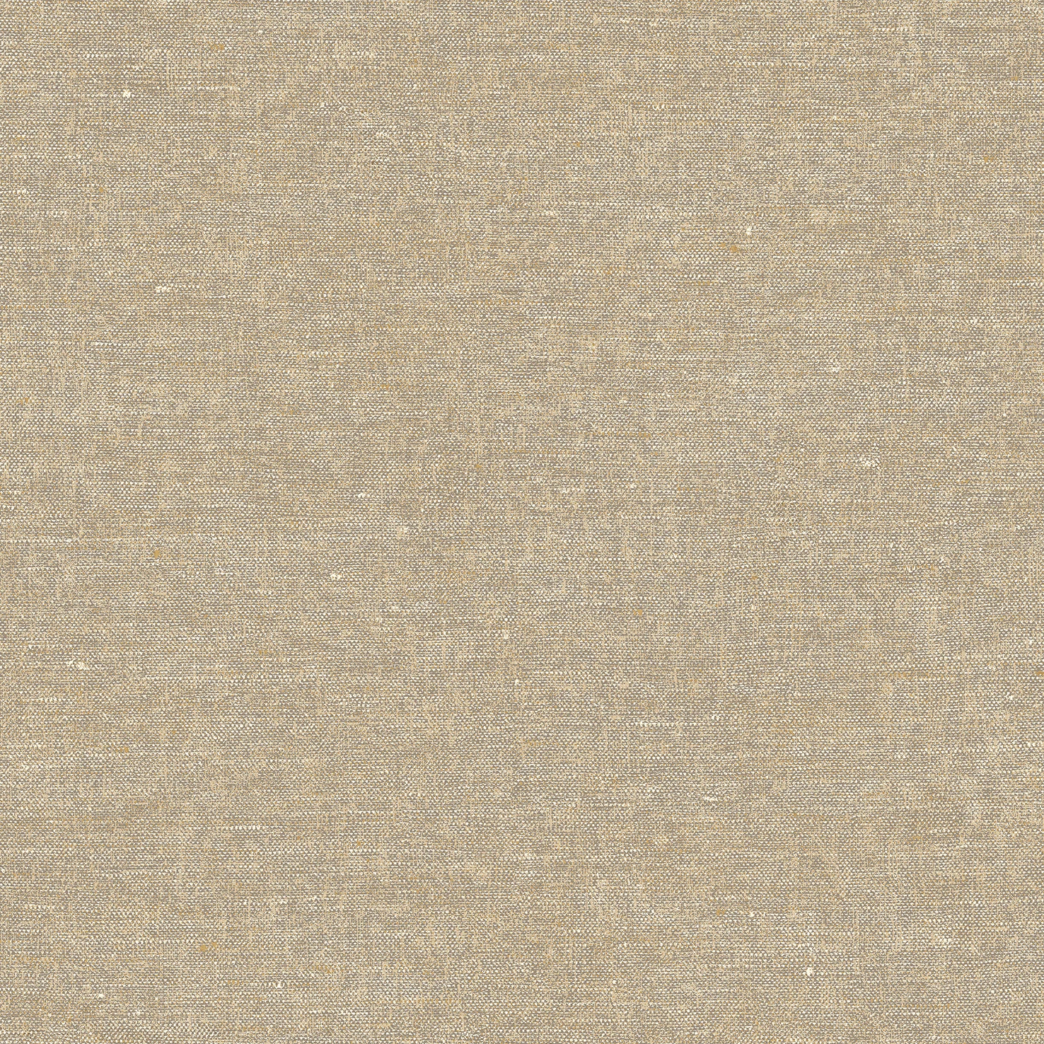 Terra Nova
