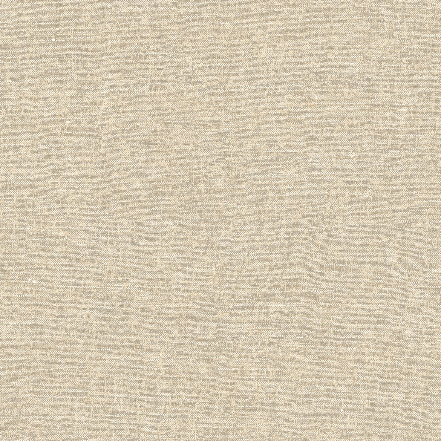 Terra Nova