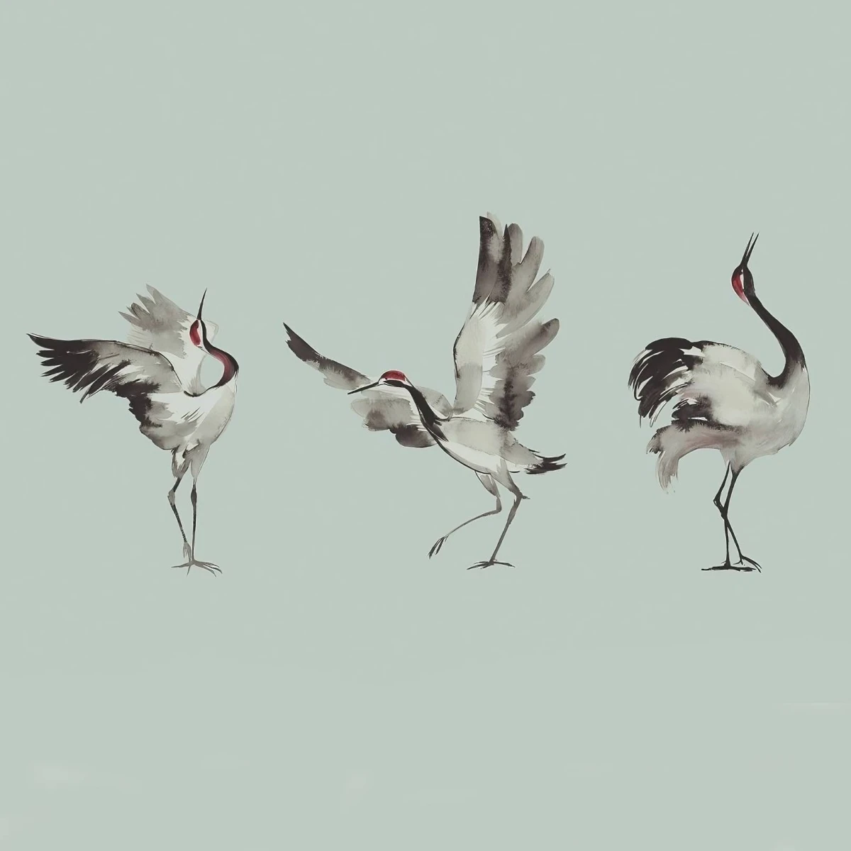 Crush Motion