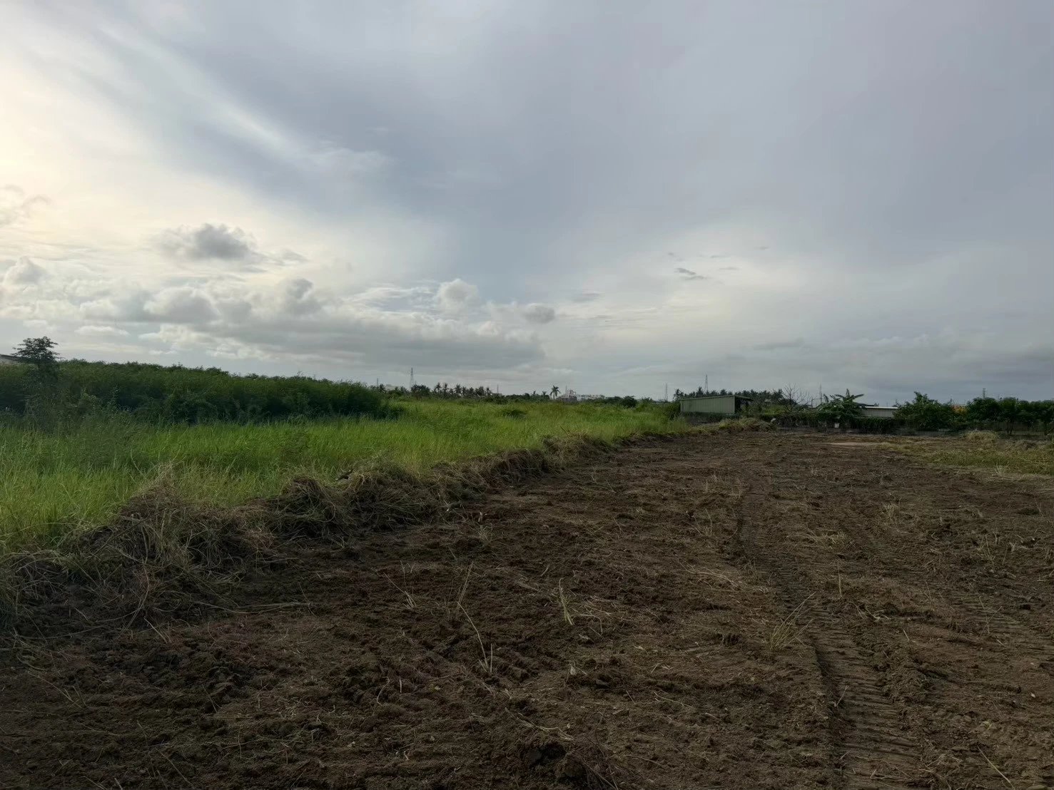 屏東 雜草整地